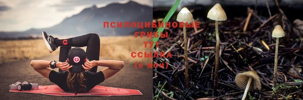 ПСИЛОЦИБИНОВЫЕ ГРИБЫ Абинск