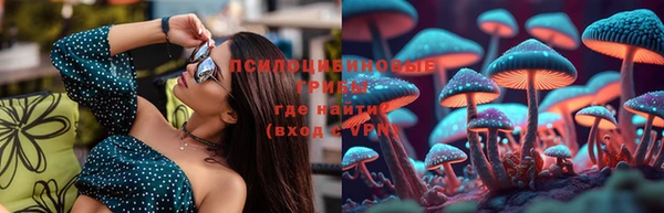ПСИЛОЦИБИНОВЫЕ ГРИБЫ Абинск