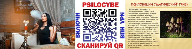 Галлюциногенные грибы Magic Shrooms  купить  цена  Тюкалинск 